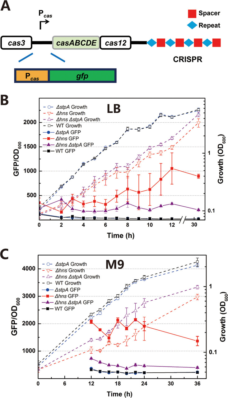 FIG 3