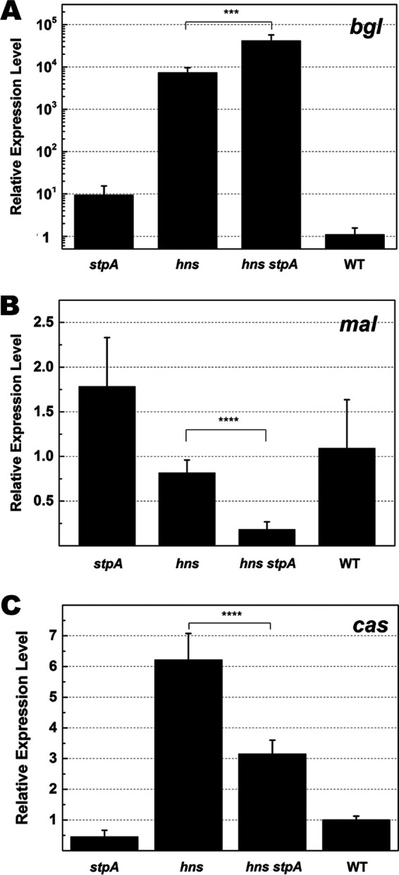 FIG 2