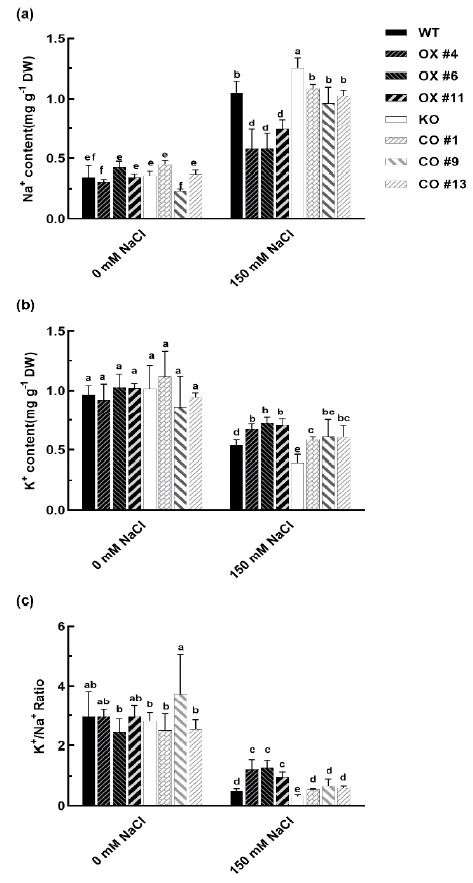 Figure 5