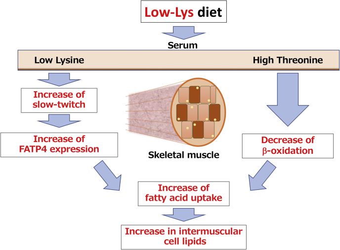 Figure 5