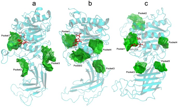 Figure 7