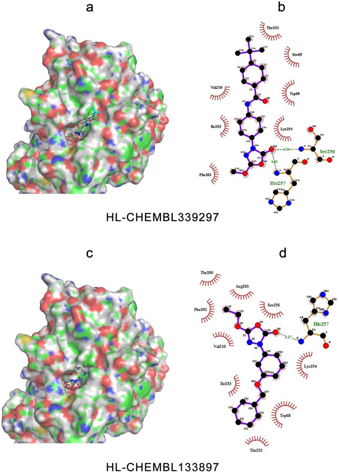 Figure 11