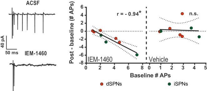 Figure 1—figure supplement 2.