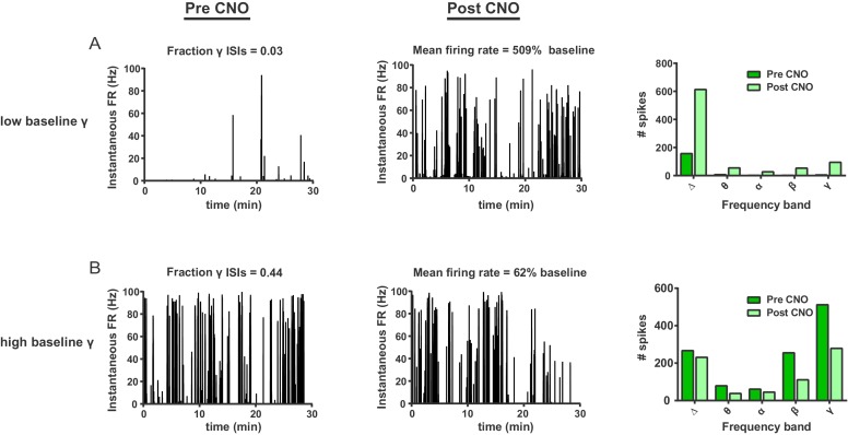 Figure 5—figure supplement 1.