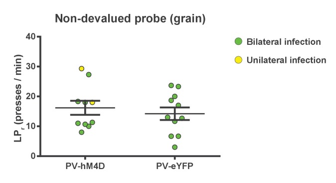 Figure 4—figure supplement 1.