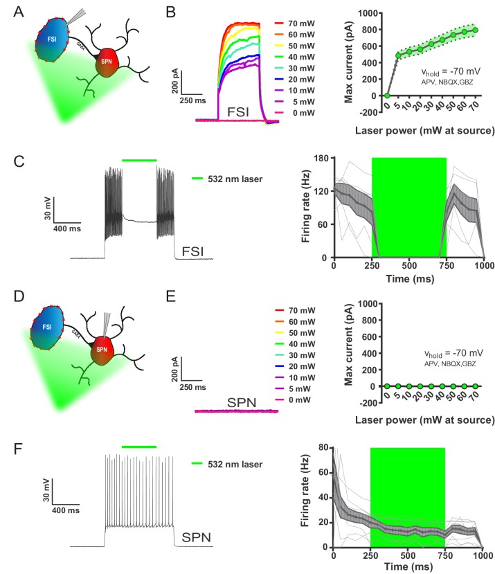 Figure 2—figure supplement 1.