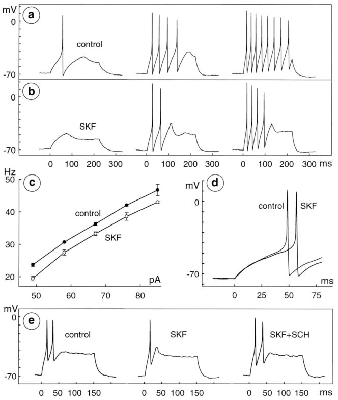 Fig 5