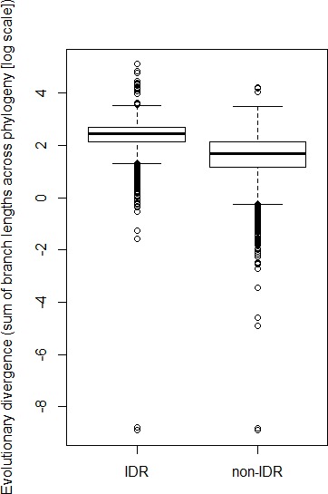 Figure 1—figure supplement 1.