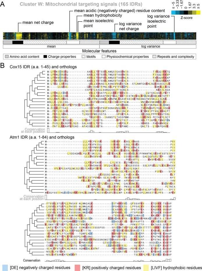 Figure 6—figure supplement 1.