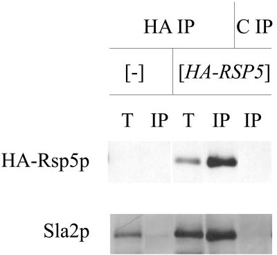 FIG. 8.