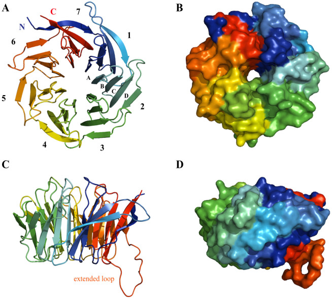 Figure 4