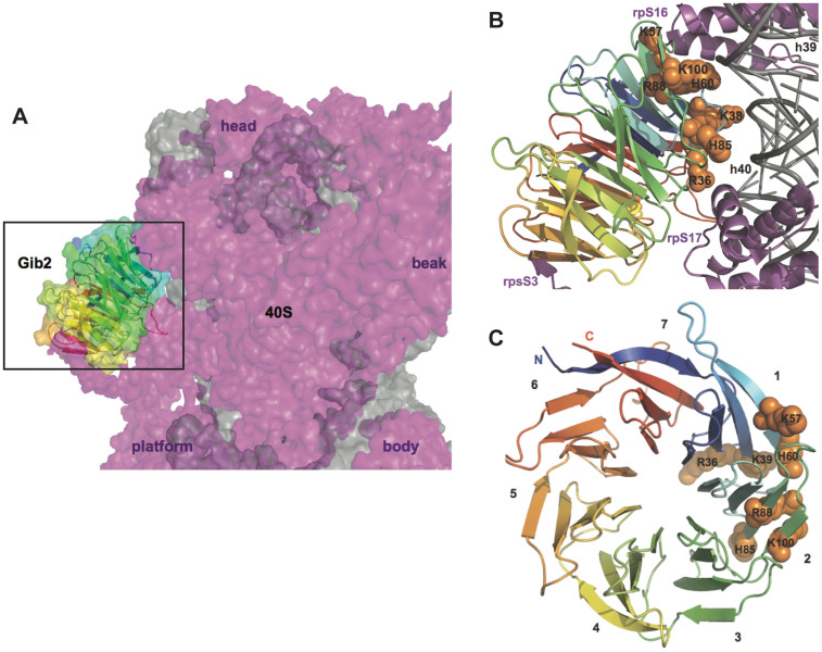 Figure 7