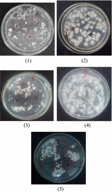 Fig. 2