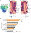 Figure 6. SRR-unique gene signature enriched in comorbid canonical pathways. A, Venn diagram depicting the overlap of AFR-, EUR-, and SRR-associated genes. DEG, differentially expressed gene. B, Unsupervised hierarchical clustering of the 1,071 SRR-associated genes. AMR, American. C, Unsupervised clustering of 751 genes unique to SRR. In both B and C, columns represent individuals, where SRR and ancestry are shown in the color map at the top, and rows represent genes. Node structure of individuals is shown at the bottom of the heat maps, where clustering was the individual node structure significantly changed between B and C. D, Comparing gene expression values from the node structure in C, we determined enrichment of genes in known canonical pathways that would be associated with environmental exposures and/or potential patient comorbidities. Z-scores indicated predicted activation (positive z-score, orange) or inhibition (negative z-score, blue) of the pathway based on the expression of the genes in the pathway in the directionality of AAs. Black striped bars indicated pathways where no z-score/predication was indicated due to insufficient evidence in the Ingenuity Pathway Analysis knowledge base. The red line indicates a P value cutoff of 0.05 [−log(0.05) = ∼1.3].