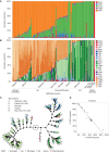 Figure 1. Estimated genetic ancestry distribution in an African-enriched TNBC RNA-seq cohort. Genetic ancestry was estimated from genotypes of the ancestry-informed markers obtained from our RNA-seq alignments, in which we have superpopulation ancestry estimations, relative to the 1000 Genomes superpopulation populations (A), and subpopulation ancestry estimations for each individual in our cohort (B). In both A and B, each column represents an individual in the cohort, in which estimated ancestry from a given superpopulation or subpopulation is shown on the y-axis, and the x-axis is annotated by SRR and location. Superpopulation populations in A are East Asian (EAS, red), South Asian (SAS, blue), European (EUR, green), American (AMR, purple), and African (AFR, orange). Subpopulations in B are shown in variations of their corresponding superpopulation population color (i.e., AFR populations are in varying shades of orange), and population codes are reported in Supplementary Table S1. Samples are ordered by decreasing AFR ancestry [x-axis left to right: African/Ghanaian (Ghana), AA (Alabama, Detroit, New York), African/Ethiopian (Ethiopia), EA (Alabama, Detroit, New York), other/declined (New York), and Asian (New York)]. C, Constellation plot showing phylogeny of samples based on ancestry estimations. SRR of samples are indicated by the colored dots (Ghanaian = light blue, AA = light green, Ethiopian = dark blue, EA = dark green, Asian = light pink, and other/declined = dark pink). Site location of samples is annotated next to the colored dots (A = Alabama, USA; D = Detroit, MI, USA; E = Ethiopia; G = Ghana; and N = New York, NY, USA). D, Scatter plot showing inverse correlation of AFR and EUR ancestry in our gene expression cohort.