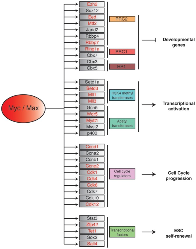 Figure 7