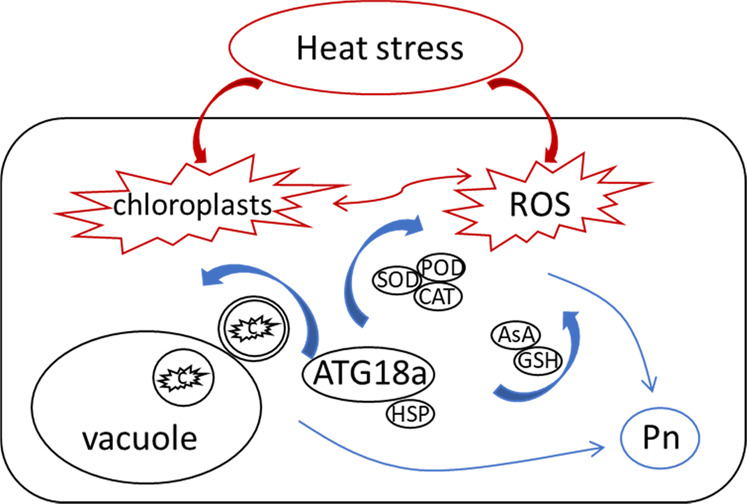 Fig. 9