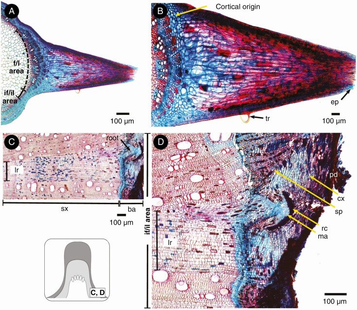 Fig. 10.