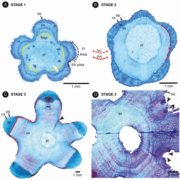 Fig. 8.