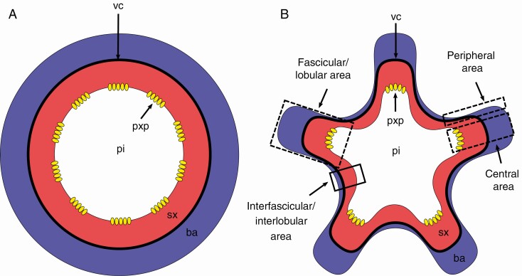 Fig. 3.