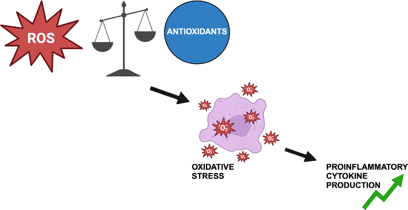 Figure 2: