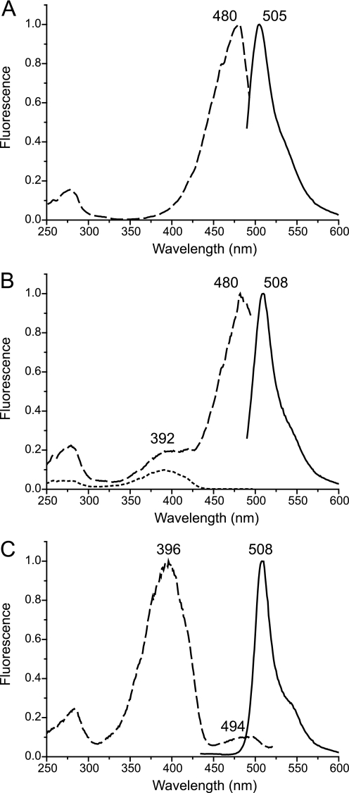 FIGURE 1.