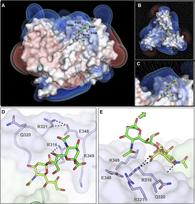 Fig. 6.