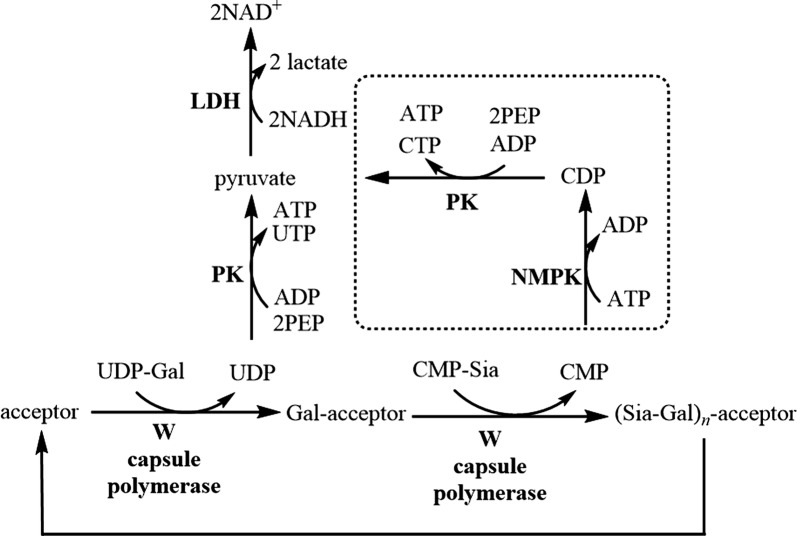 Fig. 1