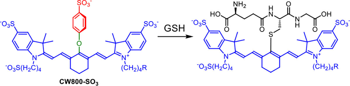 Scheme 4.