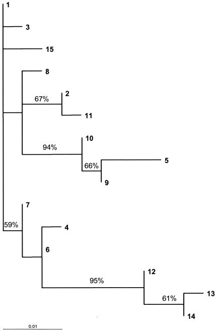 FIG. 2.