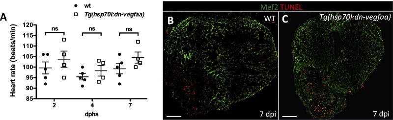 Fig. S9.