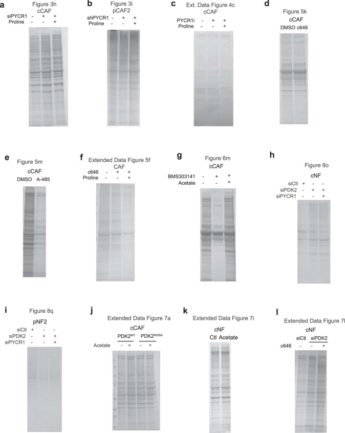 Extended Data Fig. 9