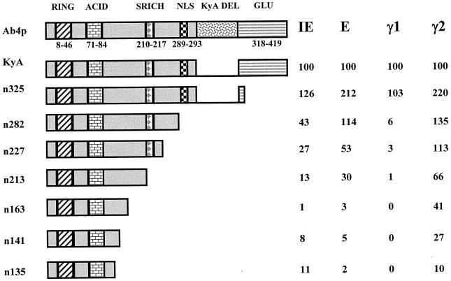 FIG. 5