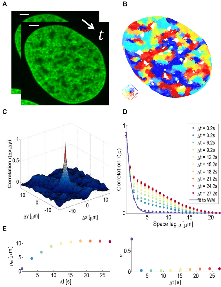 Figure 2.