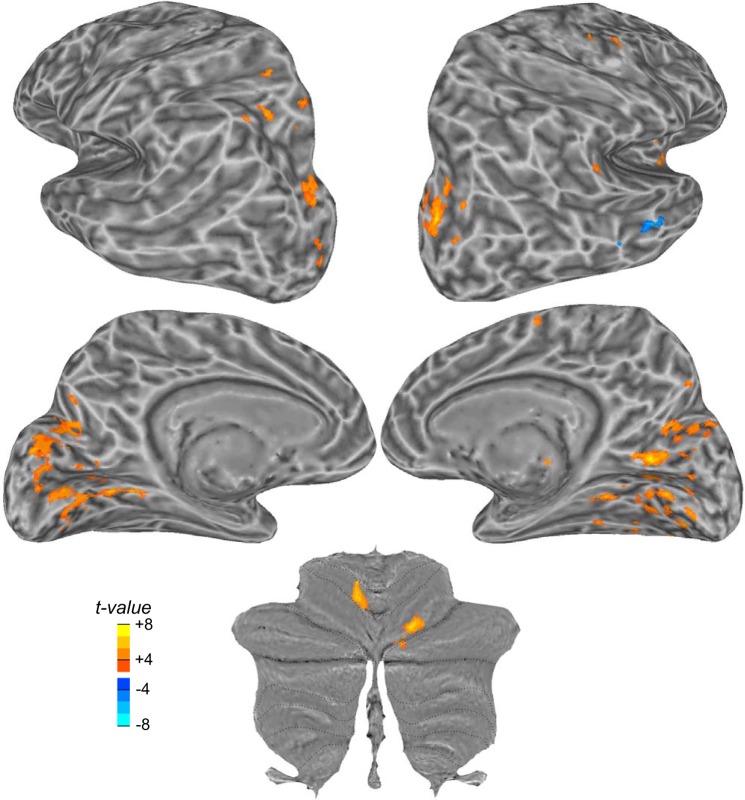 Fig. 5.