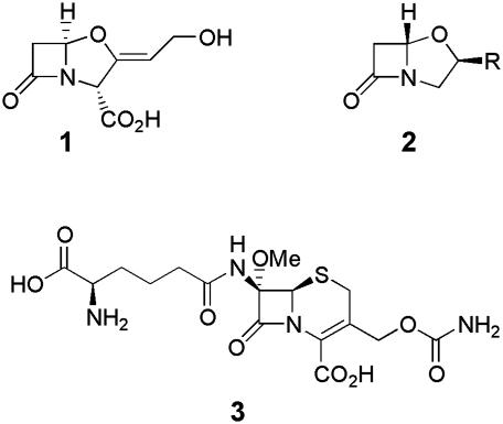 Fig. 1.