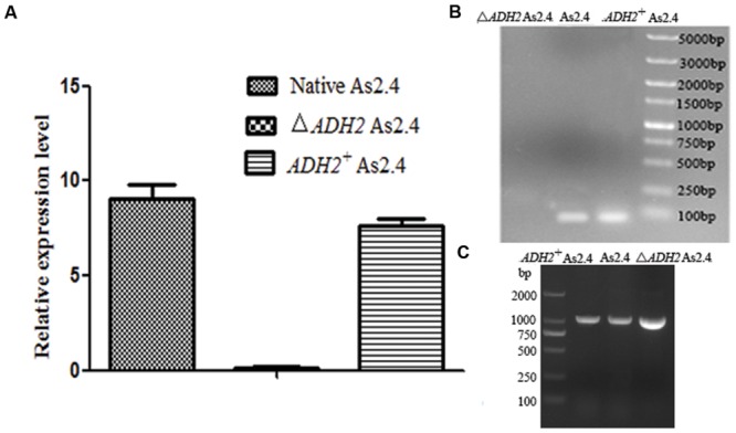 FIGURE 3