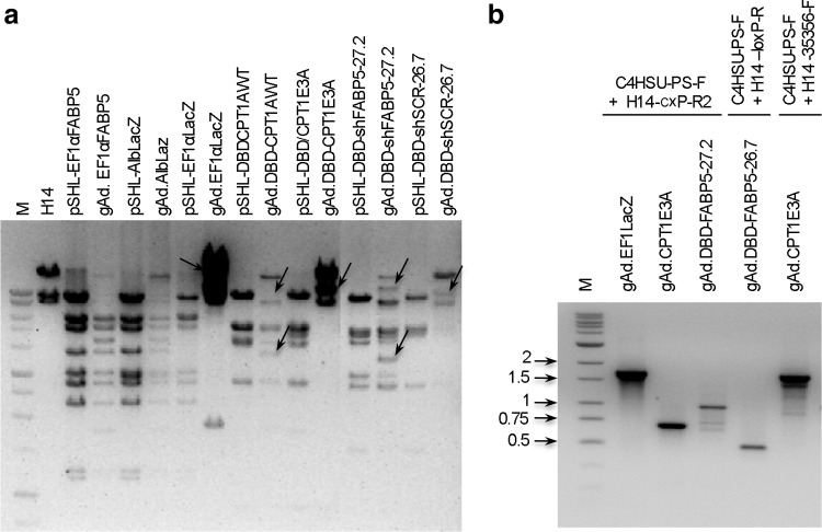 FIG. 3.