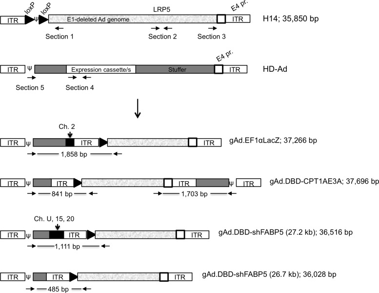 FIG. 4.