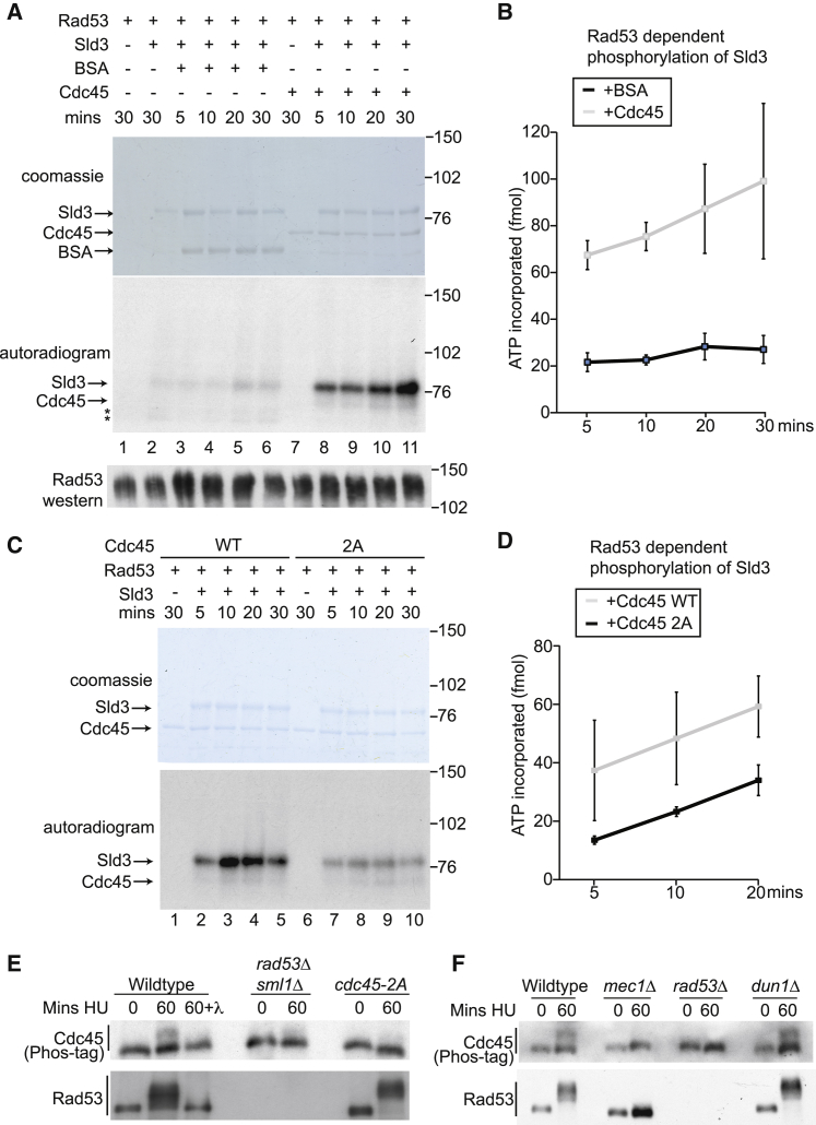 Figure 4