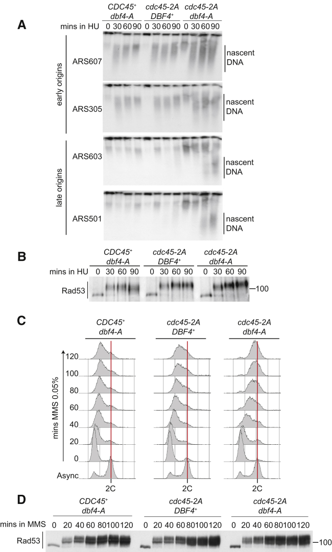 Figure 3