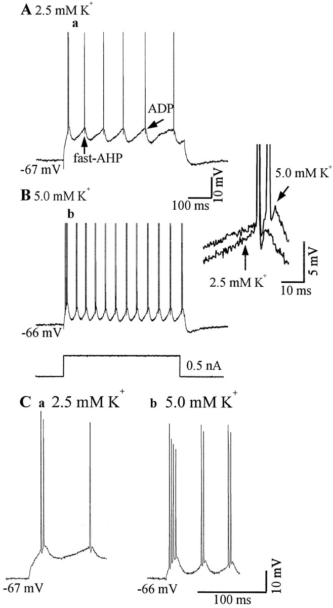 Fig. 12.