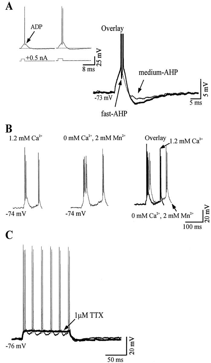 Fig. 9.