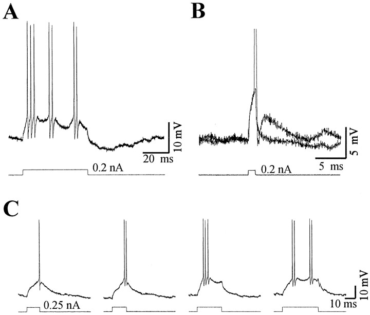 Fig. 3.