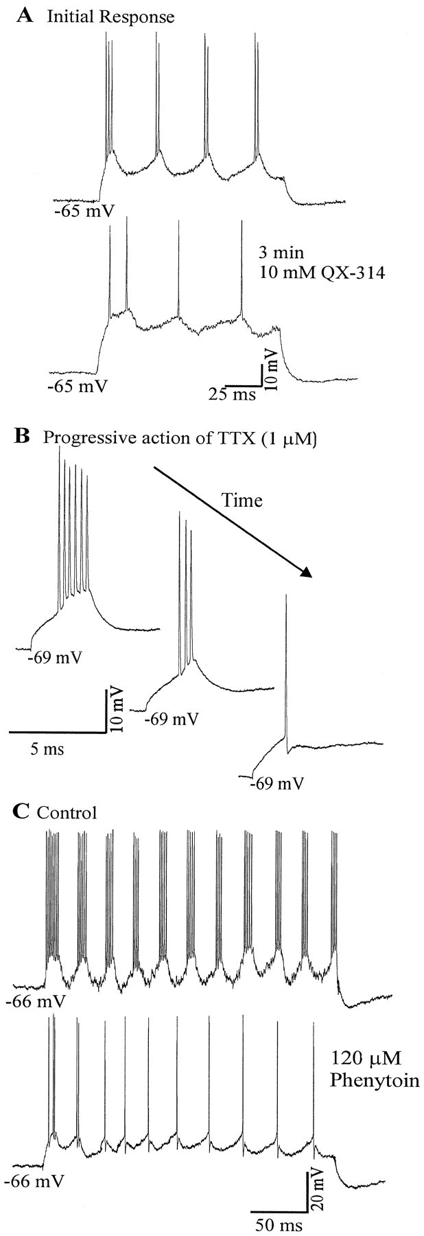 Fig. 8.