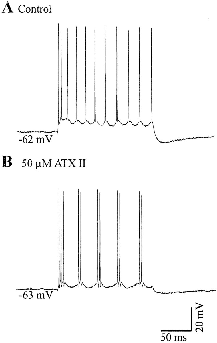 Fig. 13.