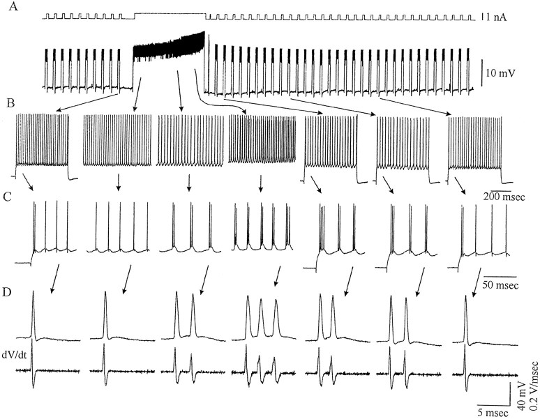 Fig. 10.