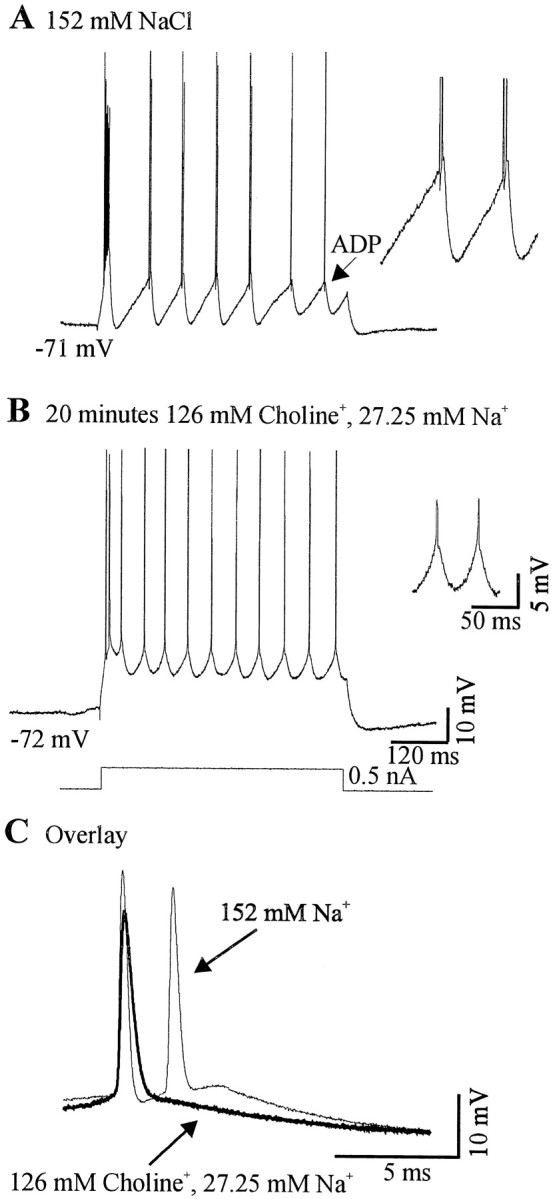 Fig. 7.