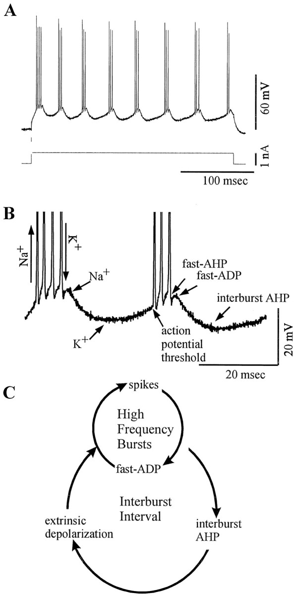 Fig. 14.