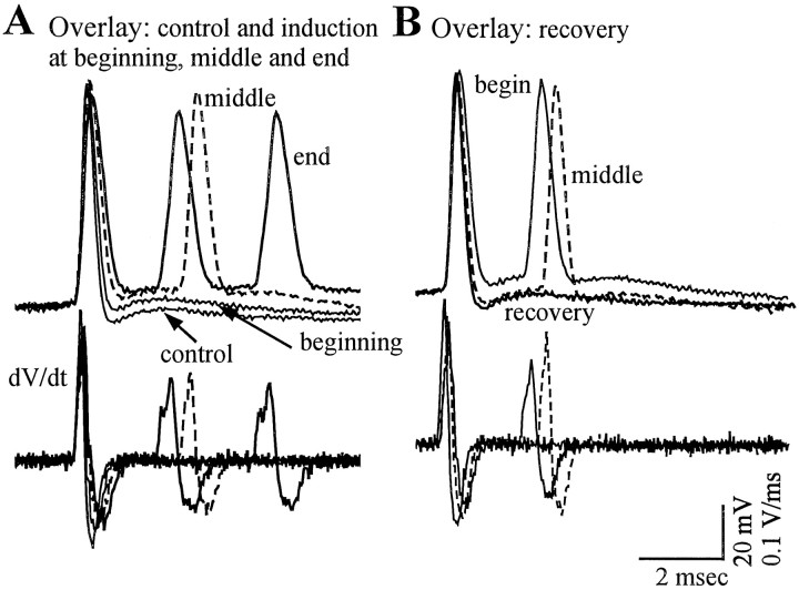 Fig. 11.